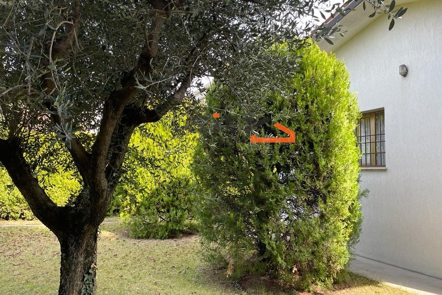 img-20230327-wa0031 - Unifamiliare Casa singola Bassano del Grappa (VI) LATERALE V.LE VENEZIA 